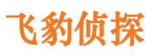 雨花市私家侦探